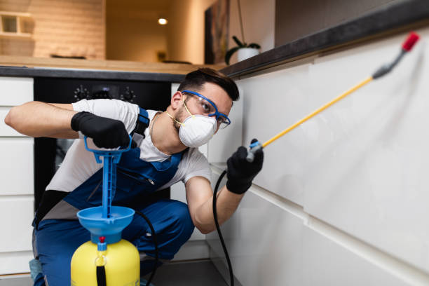 Reliable Washburn, WI Pest Control Solutions