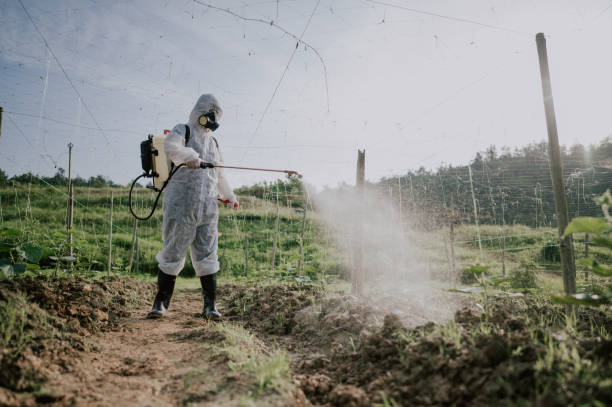 Best Local Pest Control Services  in Washburn, WI
