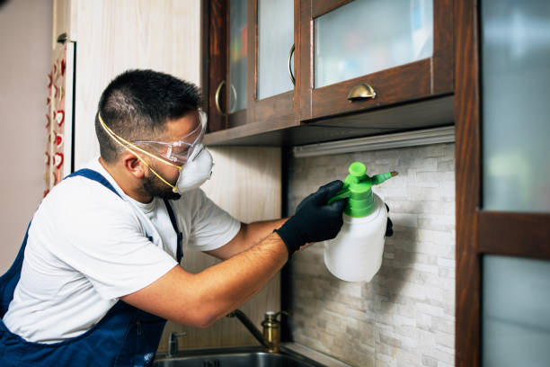 Best Ant Control Services  in Washburn, WI
