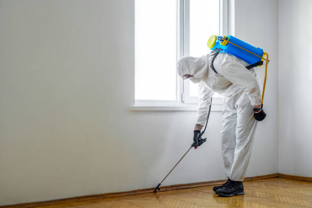 Best Best Pest Control Companies  in Washburn, WI
