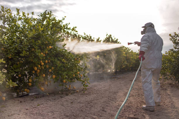Best Pest Inspection Near Me  in Washburn, WI