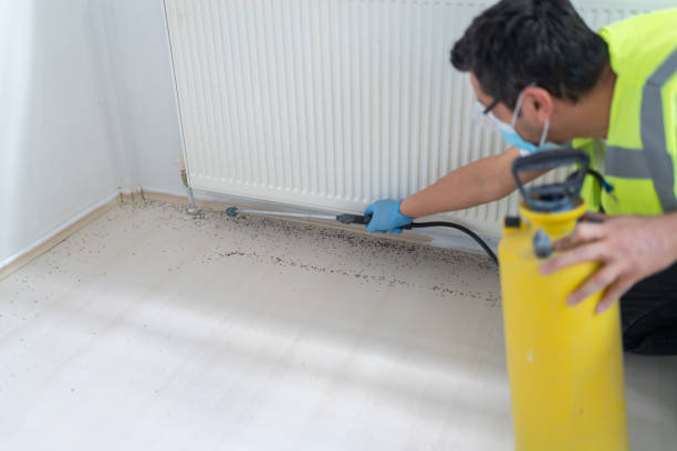 Best Affordable Pest Control Services  in Washburn, WI